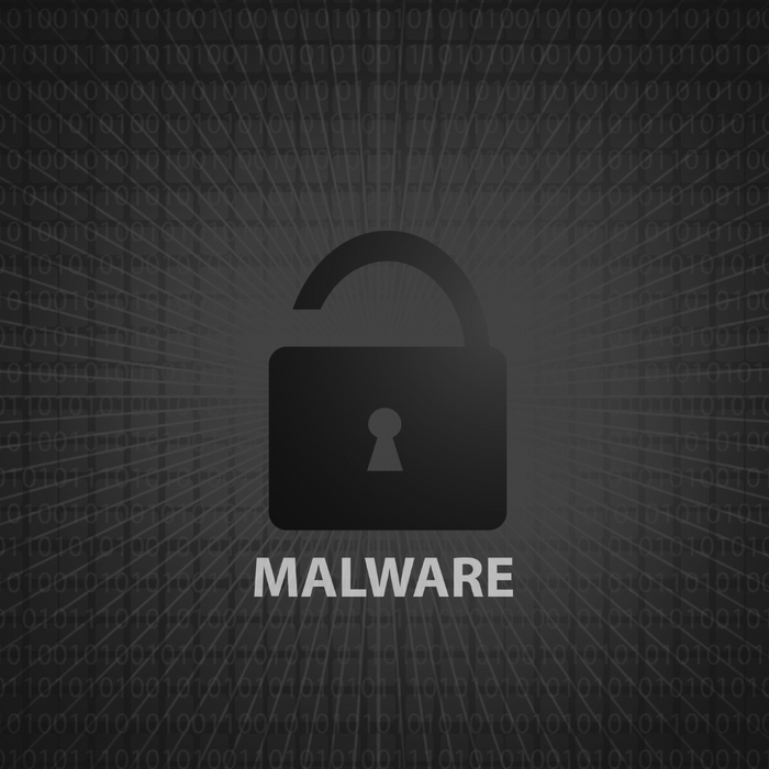 Understanding the different types of malware